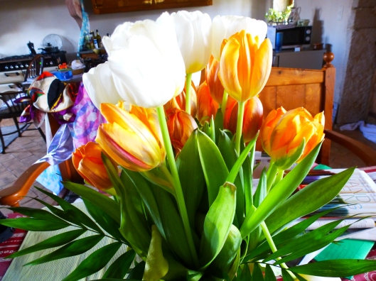 Spring Tulips inspiring colours for my pallette